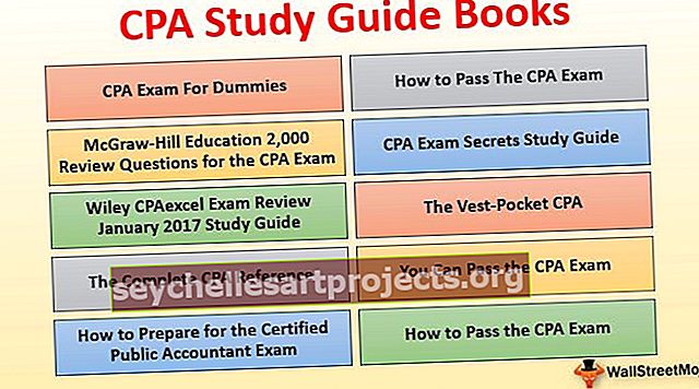 Βιβλία καλύτερων οδηγών μελέτης CPA