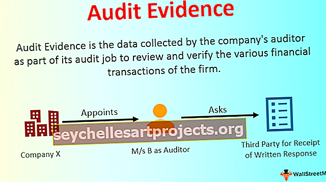 Auditi tõendid