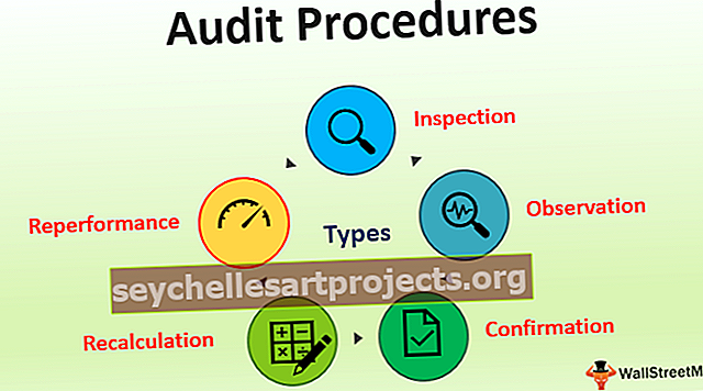 Audito procedūros
