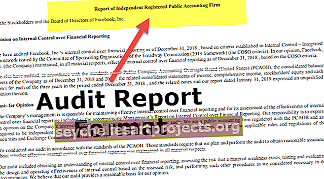 Audito ataskaitos formatas