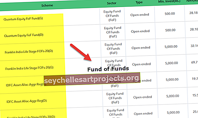 Fondu fonds (FOF)