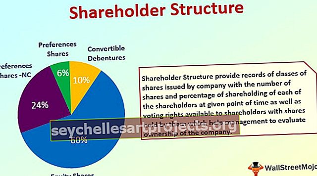Struktura akcionářů