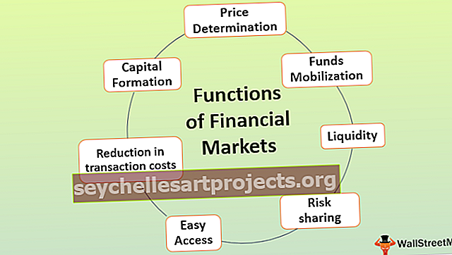 finansu rinkos funkcijos parinkčių strategijos tikrintojas