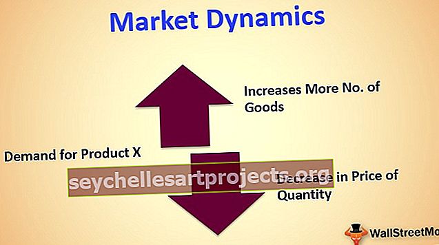 Dynamika trhu