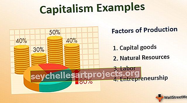 Kapitalizmo pavyzdžiai