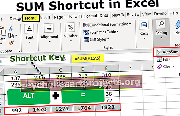 Συντόμευση Excel SUM