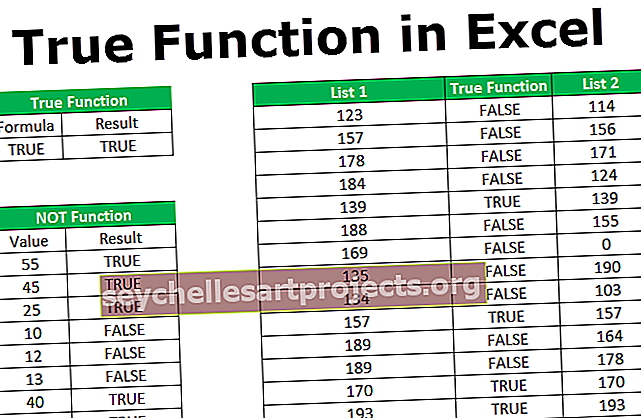 Λειτουργία True Excel