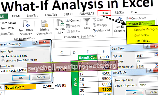 Τι-Αν Ανάλυση στο Excel