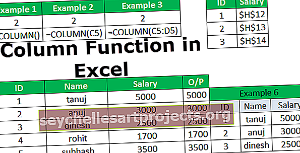 Λειτουργία στήλης στο Excel