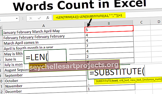 Žodžių skaičius programoje „Excel“
