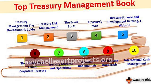 Nejlepší kniha treasury managementu