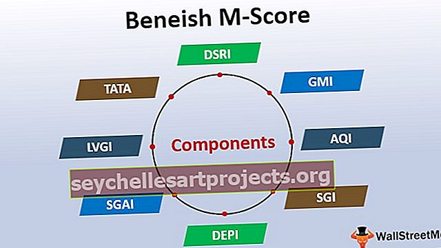 „Beneish M-Score“