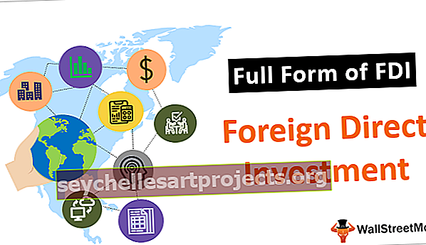 Plná forma přímých zahraničních investic