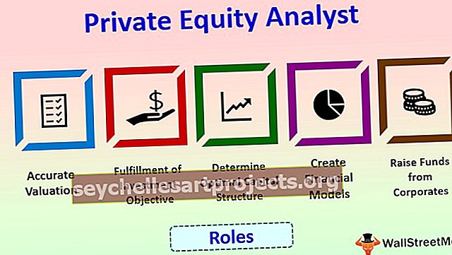 Αναλυτής Private Equity