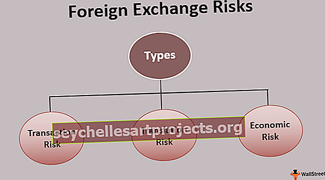 Užsienio valiutos rizika